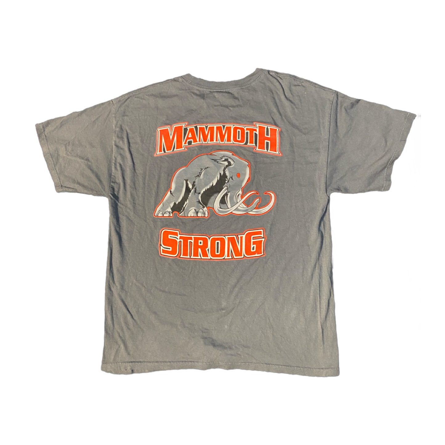 Oversized Graphic Tee-shirt (XL) Storing