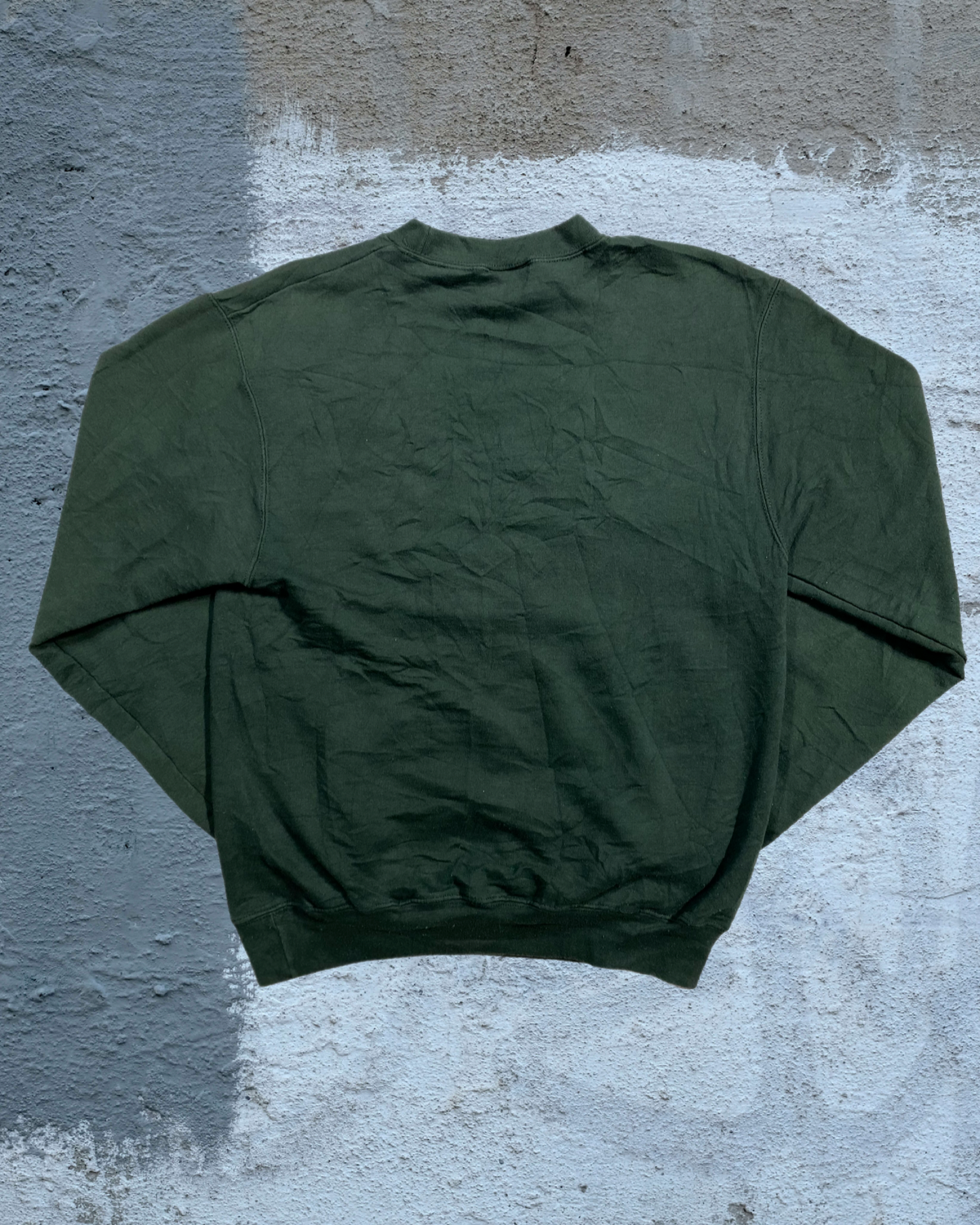 Sweatshirt South Florida Storing