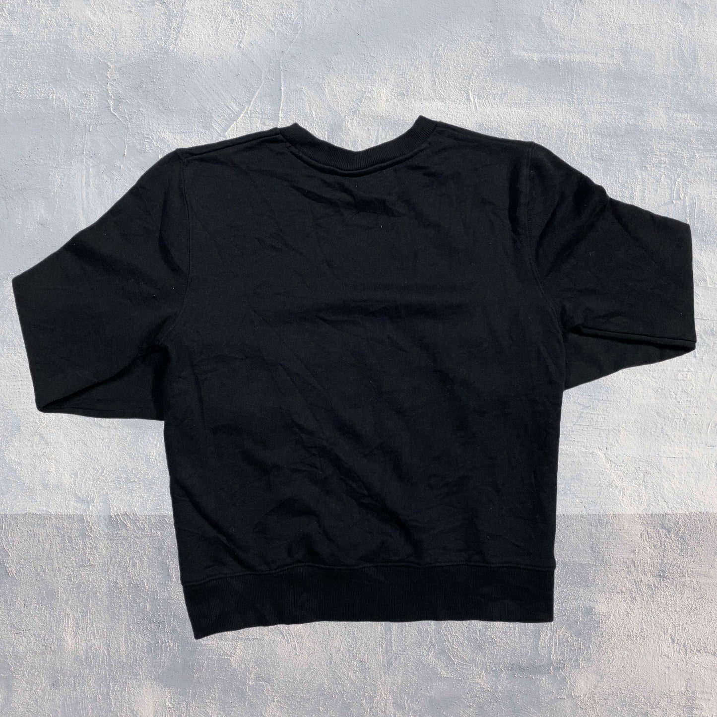 Sweatshirt Northeastern Storing