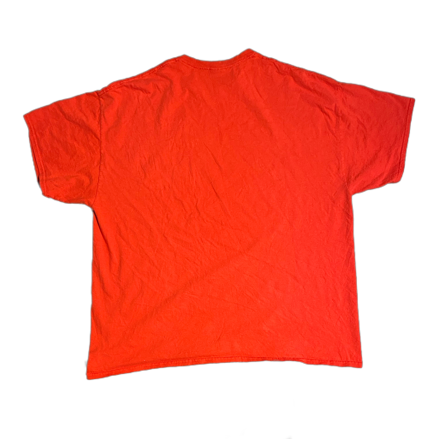 Tee-shirt Wisconsin Bucky Storing