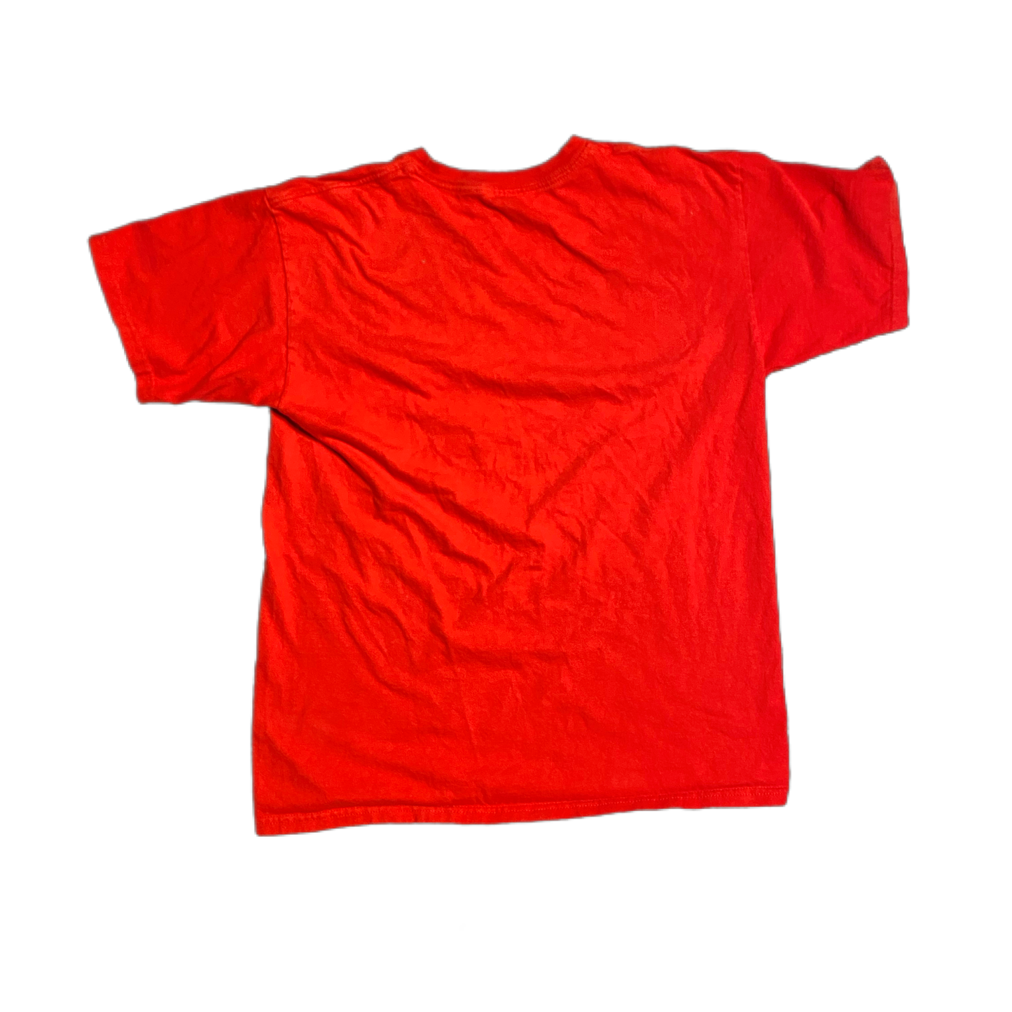 Tee-shirt Wisconsin délavé Storing